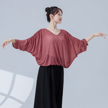 Solid Top with V-Shaped Neck and Long Sleeves