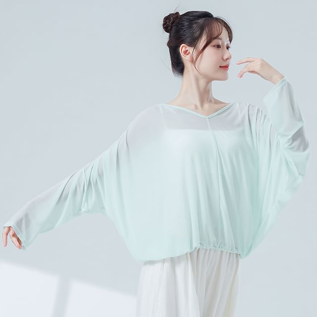 Solid Top with V-Shaped Neck and Long Sleeves
