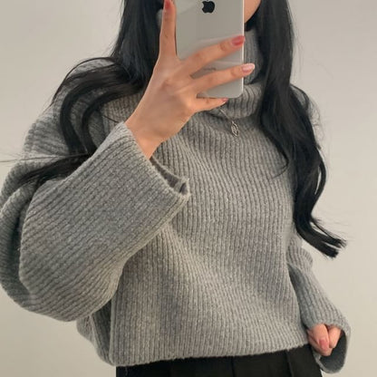 Ribbed Turtleneck Sweater in Solid Tone