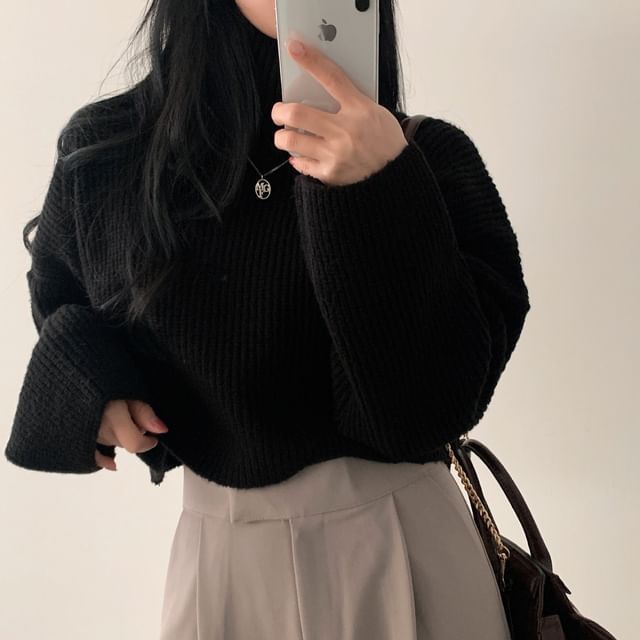 Ribbed Turtleneck Sweater in Solid Tone