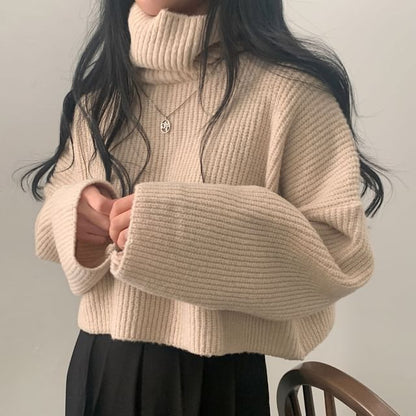 Ribbed Turtleneck Sweater in Solid Tone