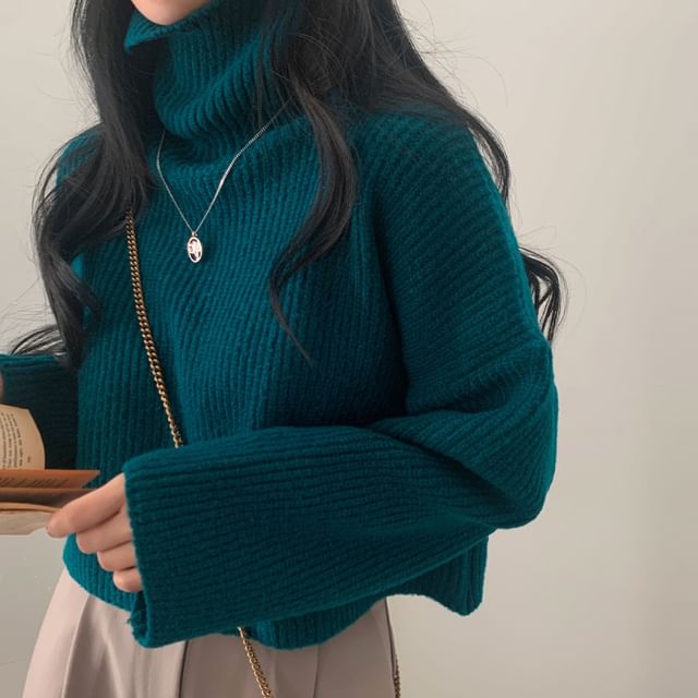 Ribbed Turtleneck Sweater in Solid Tone