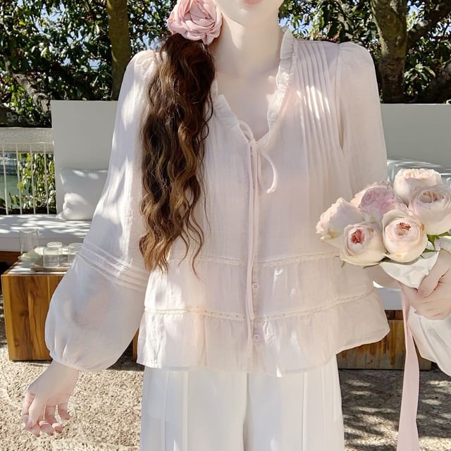Frill Trim Sheer V-Neck Blouse