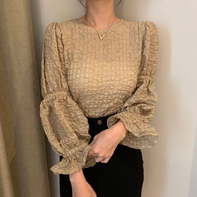 Textured Blouse with Puff Sleeves and Crew Neck in Solid