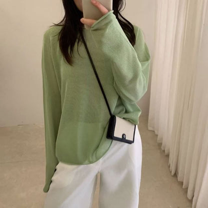 Sheer Knit Top with Crew Neck and Long Sleeves in Solid Tone