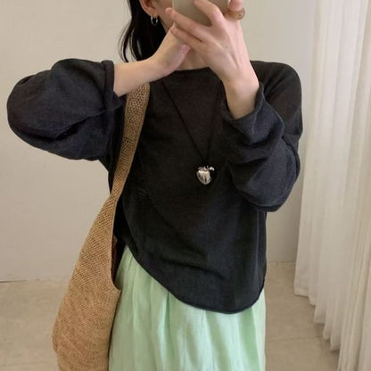 Sheer Knit Top with Crew Neck and Long Sleeves in Solid Tone