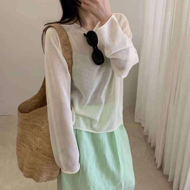 Sheer Knit Top with Crew Neck and Long Sleeves in Solid Tone