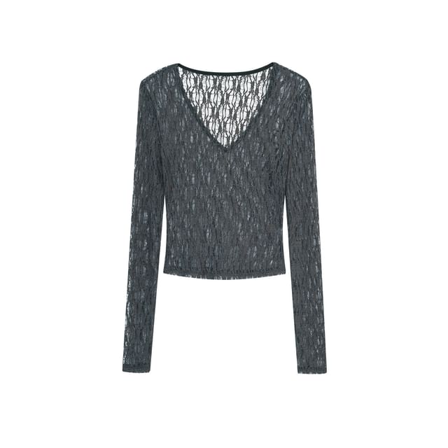 Long-Sleeve V-Neck Lace Crop Top