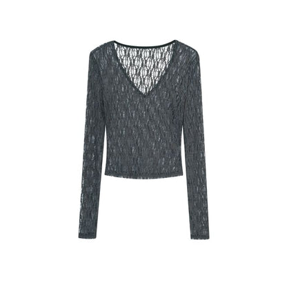 Long-Sleeve V-Neck Lace Crop Top