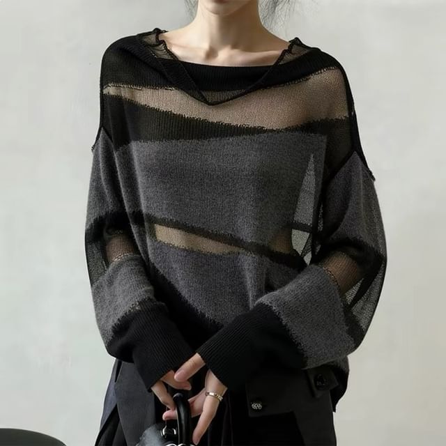 Cowl Neck Sheer Knit Long Sleeve
