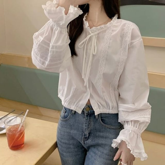 Stand Collar Lace Panel Crop Blouse Long Sleeve