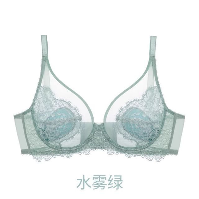 Plain Mesh Panel Lace Bra / Panty / Set