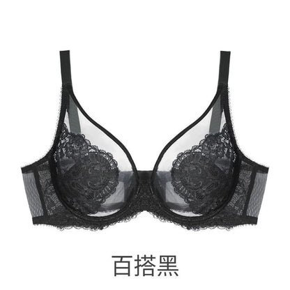 Plain Mesh Panel Lace Bra / Panty / Set