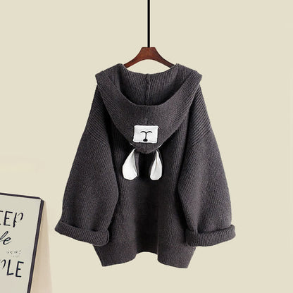 Slip Ears Cardigan Hooded Sweater Dress Bear Set