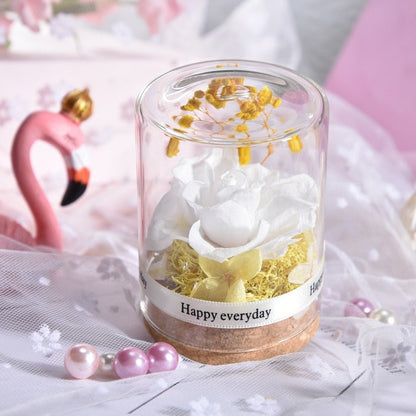 Everlasting Flower Gift