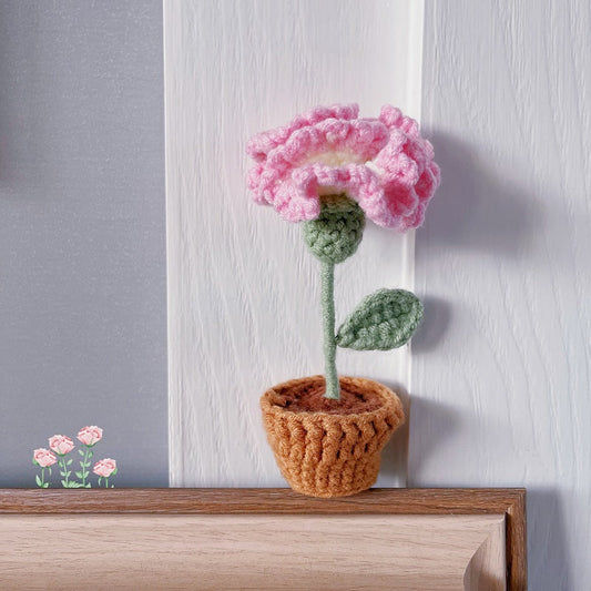 Kawaii DIY Mini Crochet Pot Culture